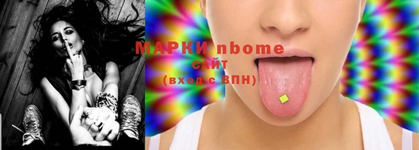 тгк Алзамай