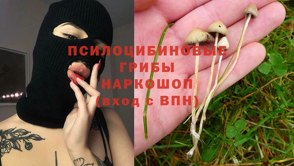 тгк Алзамай