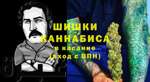 сатива Алексеевка