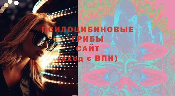 тгк Алзамай